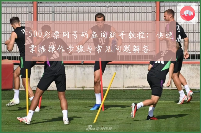 500彩票网号码查询新手教程:快速掌握操作步骤与常见问题解答
