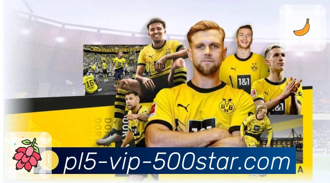 加拿大28 背景图